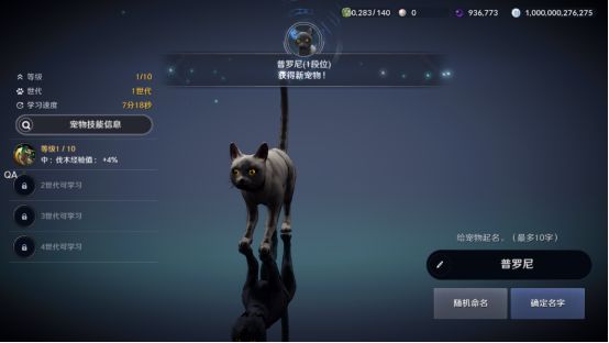 黑色沙漠中怎么拥有自己的猫，黑色瘦猫任务攻略