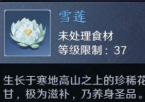 天涯明月刀手游攻略 雪莲的采摘位置以及采集条件介绍